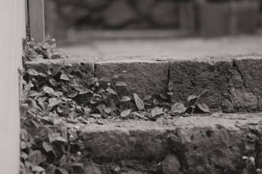 eski taş duvar dokusu arkaplanı