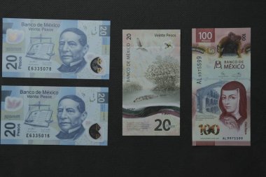 Meksika parası ve Meksika pezosu