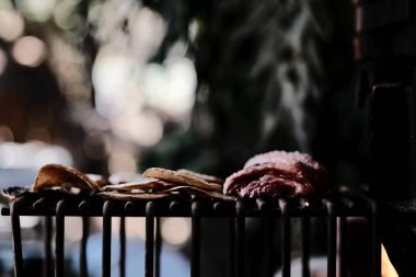 Güzel bir kuşun yakın çekimi.