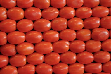 Taze kırmızı kiraz domates