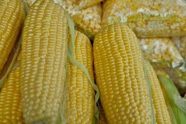 Markette taze Mısır