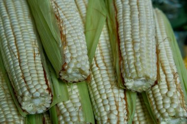Pazarda taze mısır