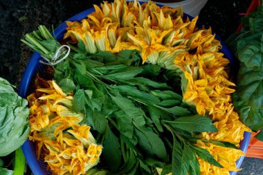 Taze sarı ve yeşil yapraklar