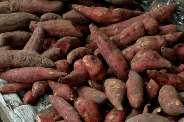 tatlı patates Pazar