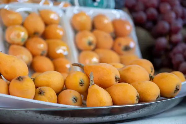 stock image a stacked  Eriobotrya japonica holding its fruit like golden eggs called loquat