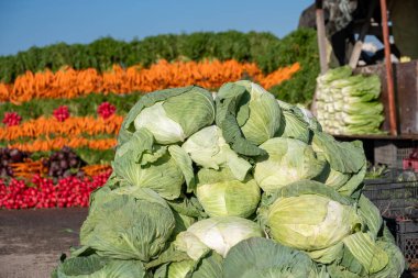 cabbage for sale which harvested from his farm and freshly presented clipart