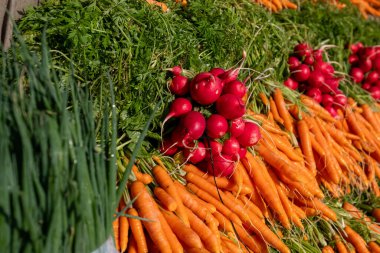 A diverse selection of freshly harvested root vegetables meticulously arranged and ready for purchase clipart