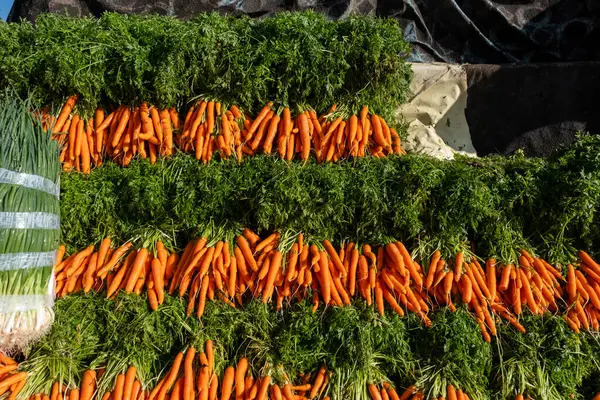 stock image A diverse selection of freshly harvested root vegetables meticulously arranged and ready for purchase