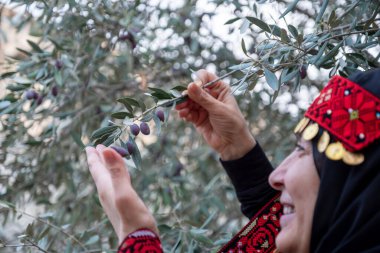 Zeytin ağaçlarında geleneksel giysiler giymiş bir kadının portresi elinde bir dalla yüzünde gülümsemeyle