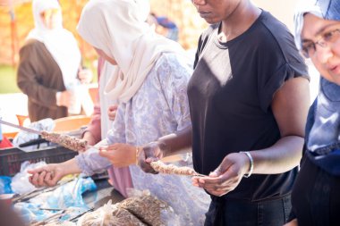 Çok ırklı insanlar piknikte ve kebap ve barbekü hazırlarken birbirlerine yardım ediyorlar.