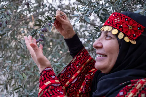 stock image Portrait Of woman wearing palestinian traditional clothes in olive trees field holding branch in her hand with smile on her face