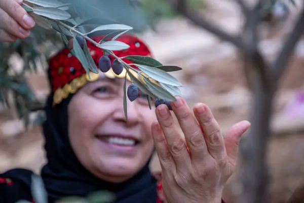 Zeytin ağaçlarında geleneksel giysiler giymiş bir kadının portresi elinde bir dalla yüzünde gülümsemeyle