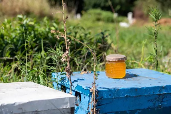 stock image Honey jars under the sun in front of greens in farm with bee hive