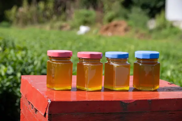 stock image Honey jars under the sun in front of greens in farm with bee hive