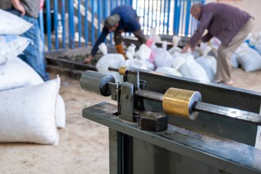 Tartı tartısı, arka planda işçiler ve daha sonra petrol endüstrisinde sıkıştırılacak zeytin paketleri.