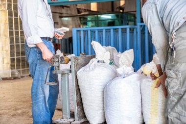 Çalışan ve işveren zeytin çuvallarını eski tarz ölçek kullanarak tartıyor ve arkaplanda taşıma aracı olan numaraları yazıyor