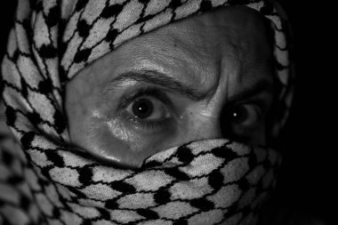 Siyah arka planda beyaz keffiyeh giyen Pearl 'ün portresi. Şiddet ve işgale karşı olduğu için gözlerinde öfke ifadesi var.