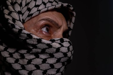 Siyah arka planda beyaz keffiyeh giyen Pearl 'ün portresi. Şiddet ve işgale karşı olduğu için gözlerinde öfke ifadesi var.