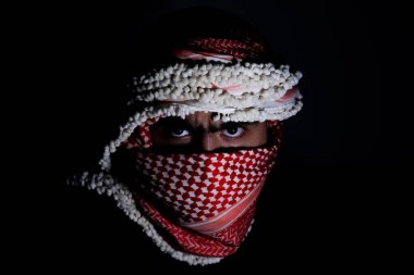 Koyu arka planda kırmızı keffiyeh giyen Pearl 'ün portresi. Şiddet ve işgale karşı olduğu için gözlerinde öfke ifadesi var.