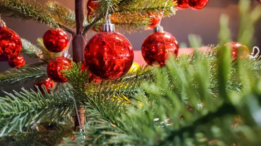 Oturma odasında kırmızı süslemeli Noel ağacı, rahat kanepe ve minderler.