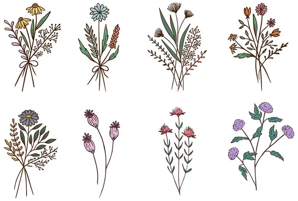 Çiçek Buketi, Yaban Çiçeği Buketi, El Çekimi Vektör Çizimleri