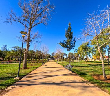 Yumuşak ışıkta bahçe güzelliği. Herhangi bir yerde huzurlu bir dokunuş için mükemmel