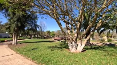 Sabah Işığının Huzurunda Fas Bahçelerinin Büyüsü 'nü keşfetmek