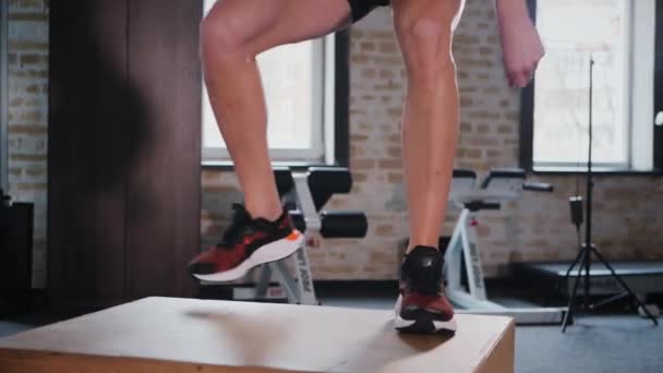 Fitness Enthusiast Jumping Hurdle Gym Workout Woman Jumping Obstacle Fitness — Stock Video