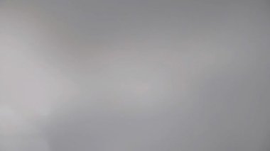 Beyaz şeffaf kumaş rüzgarda dalgalanıyor. Parlak bir stüdyoda uzun beyaz perdeler. Rüzgarda savrulan saf beyaz perdeler. Ağır çekim. Görüntüler. Güneşli bir odada beyaz bir perde yükseliyor. Yumuşak, dalgalı beyaz perde Sakin bir ortamda. 