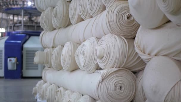 Arabalarda Kumaş Dokuma Fabrikadaki Ipliklerden Kumaş Üretimi Tekstil Fabrikası Endüstrisi — Stok video