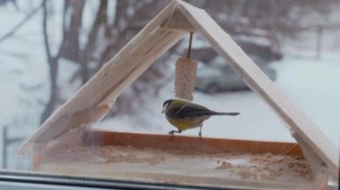 Küçük kuşlar pencerenin dışındaki yemlikte tohum yiyorlar. Kış, don, serçeler. Pencerenin dışında renkli küçük kuşlar uçuyor. Renkli kuşlar pencere pervazındaki kuş yemliğine tünediler. Tüylü arkadaşlar penceredeki kuş yemliğinde toplandılar.