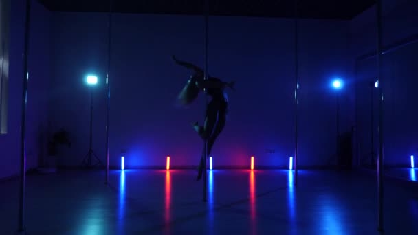 Silhouette Figur Bewegt Sich Anmutig Eine Stange Schwach Beleuchteten Raum — Stockvideo