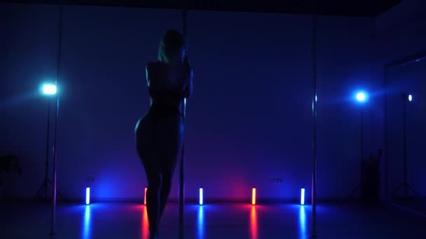 轮廓人物优雅地在光线昏暗的房间里绕着一根柱子移动 一个漂亮的女人跳舞撑杆跳 迪斯科派对性感的女人在迪斯科俱乐部跳舞 在杆子上的情色舞蹈 异国情调的撑竿舞脱衣舞娘撑竿艺术 — 图库视频影像