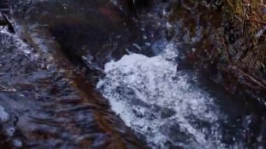 Orman, gün ışığında parlayan dereyle kaplıydı. Yavaş çekim. Bahar Harikalar Diyarı 'nda nehir akıntısı. Köpüklü bir dereyi köpükle kapatın. Çimenli bankalarla çevrili sakin bir dere.