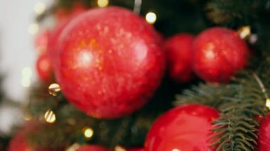 Geleneksel Noel ağacı kırmızı süslemelerle süslenmiş. Güzel dekore edilmiş Noel ağacı olan şenlik odası. Kırmızı takılar bir tatil ağacına renk katıyor. Kırmızıyla süslenmiş klasik bir Noel ağacıyla samimi bir ortam. Zarif dekorasyonlar 