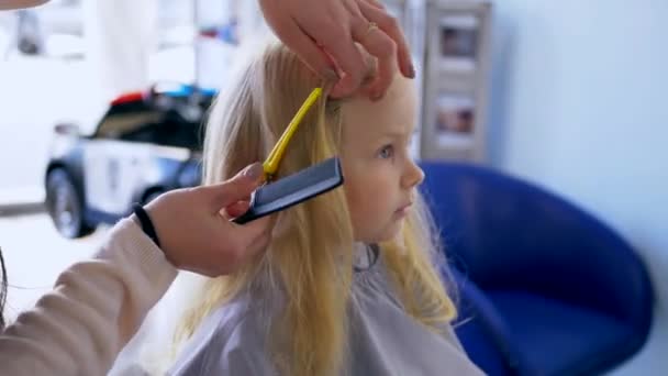 Little Girl Gets Haircut Children Barbershop Young Girl Sits Calmly — Stock Video