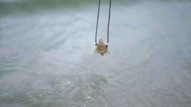 Maskot dekorasyonu suya batıyor. Kız nehrin dalgaları üzerinde metal bir tılsım tutuyor..