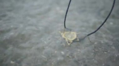 Maskot dekorasyonu suya batıyor. Kız nehrin dalgaları üzerinde metal bir tılsım tutuyor..