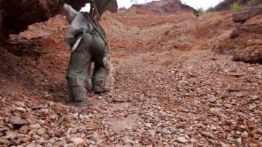 Bir adam tırmanıyor, tehlikeli bir dağa tırmanıyor. Bir adam dağlarda altın arıyor. Hazine avcısı dağlarda ve mağaralarda yürüyor. Hazine avcısı, kaşif, kazıcı. Altın arayıcısı, altın humması. Adam bir kürek, bir kürek alır ve gider. 