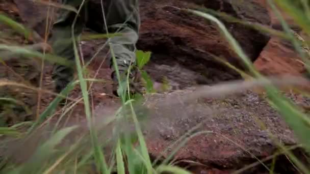 Hazine Avcısı Kaşif Kazıcı Altın Arayıcısı Altın Humması Adam Bir — Stok video