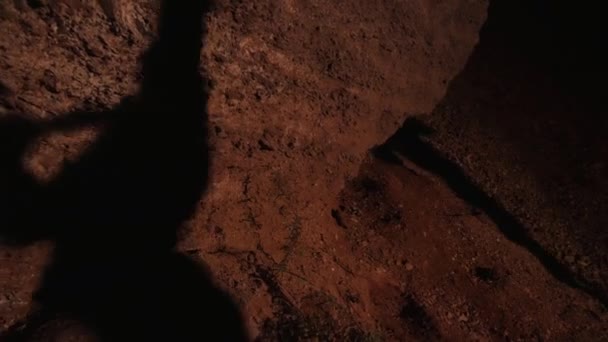 Тени Золотоискателей Стенах Тени Людей Бросающихся Стены Пещеры Рядом Потрескивающим — стоковое видео