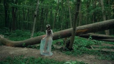 Çekici Dryad veya orman perisi. Ormanda şeffaf beyaz elbiseli hoş bir kadın. Mavka, Naiad, Nymph. Düğün kıyafetiyle bir ormanlık alanda gezinen bir gelinin büyüleyici bir sahnesi. Sihirli bir ormanda gezinen bir kadın