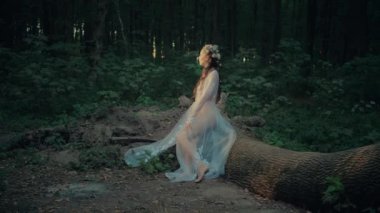 Çekici Dryad veya orman perisi. Ormanda şeffaf beyaz elbiseli hoş bir kadın. Mavka, Naiad, Nymph. Düğün kıyafetiyle bir ormanlık alanda gezinen bir gelinin büyüleyici bir sahnesi. Sihirli bir ormanda gezinen bir kadın