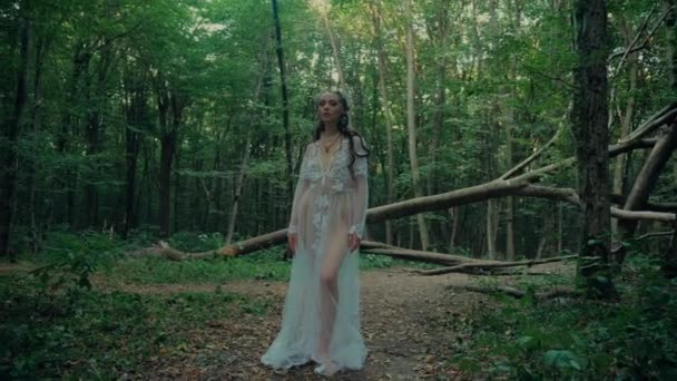 Attractive Dryad Forest Fairy Charming Woman Transparent White Dress Forest — Stock Video