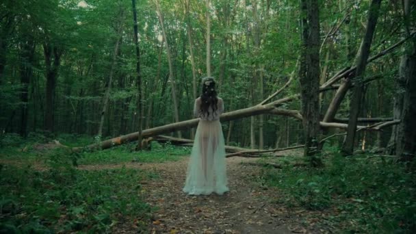 魅力的なドライヤーまたはフォレストフェアリー 森の透明な白いドレスで女性を魅了する マヴカ ナイアッド ニンフ 彼女の結婚式の服装で森をさまよっている花嫁の魅惑的なシーン 魔法の森をさまよっている女性 — ストック動画