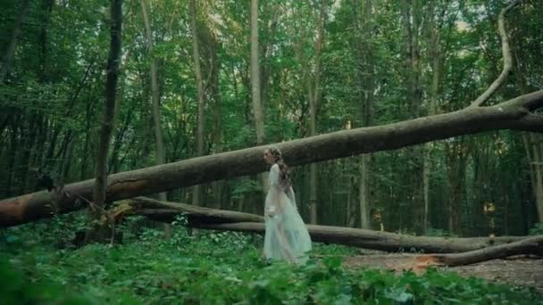매력적인 Dryad 숲에서 투명한 드레스에 매력적인 마브카 나야드 그녀의 예복에 — 비디오