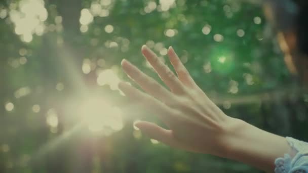 Приваблива Дріада Або Лісова Фея Чарівна Жінка Прозорому Білому Одязі — стокове відео