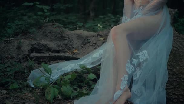 Dryad Atraente Fada Floresta Mulher Encantadora Vestido Branco Transparente Floresta — Vídeo de Stock