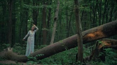 Çekici Dryad veya orman perisi. Ormanda şeffaf beyaz elbiseli hoş bir kadın. Mavka, Naiad, Nymph. Düğün kıyafetiyle bir ormanlık alanda gezinen bir gelinin büyüleyici bir sahnesi. Sihirli bir ormanda gezinen bir kadın