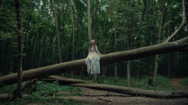 Çekici Dryad veya orman perisi. Ormanda şeffaf beyaz elbiseli hoş bir kadın. Mavka, Naiad, Nymph. Düğün kıyafetiyle bir ormanlık alanda gezinen bir gelinin büyüleyici bir sahnesi. Sihirli bir ormanda gezinen bir kadın